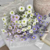 ☘花澗☘仿真花 假花 ins風 仿真格桑花 仿真波斯菊 仿真花高級感家居客廳裝飾花擺件假花拍照道具