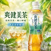 《大吃貨團購》現貨 爽健美茶 535毫升 好市多 茶飲 無糖茶 清爽解膩 飲料 寶特瓶 下午茶 聚餐 辦公室 外出必備