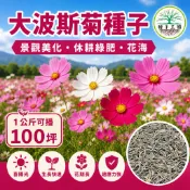 大波斯菊種子【花海種子】混合色 新社花海同款 1公斤裝 休耕綠肥 景觀美化 增加土壤肥力 新鮮種子 高發芽率 種籽