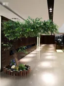 協貿國際日用品生活6館 美空人造樹藤仿真榕樹拍攝道具綠植物天然實木客廳擺放假樹仿真樹