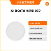 Xiaomi 吸頂燈 D30【小米官方旗艦店】
