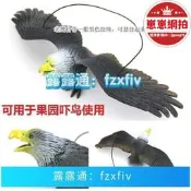 【限時特價】【哆啦a夢的百寶屋】趕驅神器驚嚇器用陽臺果園菜園戶外大號仿真老鷹模型