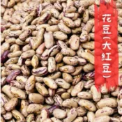 花豆 大紅豆 敏豆 剉冰配料 口感綿密鬆軟 600g 真空包裝【北港永吉農產行】