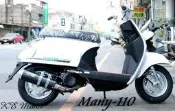 Many110 鋁合金鯉魚管 半直通/回壓 雷霆 G6 勁戰BWSR CUXI/Mii/Mio/VJR/IRX 光一車業