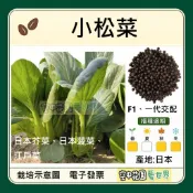 【台灣出貨 電子發票】小松菜 種子 日本芥菜 日本菠菜 江戶菜 菜籽 空中花園藝世界