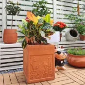 免運 超低價 紅陶無釉粗陶盆陶缸花盆公英浮雕復古方盆復古陶瓷罐種植箱多肉蒲 快速發貨
