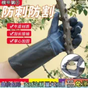 🔥品控🔥牛皮手套防扎防刺園林園藝修剪玫瑰月季摘花椒刺剝板栗子防滑330