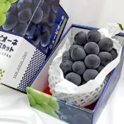 【WANG 蔬果】日本巨峰貓眼葡萄特大串1房x1盒(900g/串_禮盒組)