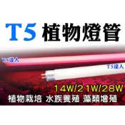 T5達人 T5 14W 21W 28W 2尺/3尺/4尺 植物燈管 多肉植物可用(含稅)