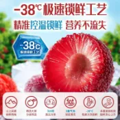 ✨新品特惠  【溜溜梅】凍楊梅100g東魁樹熟楊梅果脯梅子果乾酸甜解饞辦公室小...