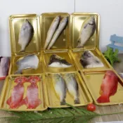 仿真海鮮 模型 酒店餐廳展 扁魚 魚 大海蝦 魷 海鮮市場 商用展示 道具擺件