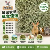 【人工過篩低粉塵】兔子牧草 提摩西草 甜燕麥 果園草 苜蓿草 百慕達草 100g/500g 現貨