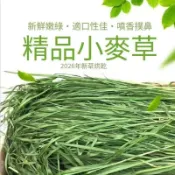 【毛孩專屬牧草堂】天竺鼠與豚鼠專屬飼草採用甜小麥草燕麥草苜蓿搭配提摩西一割二割百慕達萌寵牧草滿足兔子龍貓牛羊馬陸龜需求