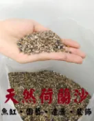 天然砂 ★ 荷蘭砂 1公斤 底砂 培菌 造景 園藝 細沙 石頭 砂石 沙子 荷蘭沙 水草沙 水草砂