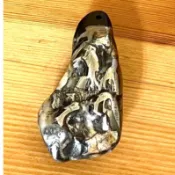 阿頑宅一起 龍紋石 已售 寶石 天然礦石 原石 岩石 金 玉 石共體 金屬感 中性款 項鍊 墜飾 飾品 台灣獨有 礦物