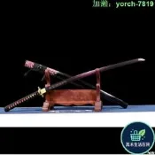 【桃園出龍泉劍武長居太肋差長劍katana未刃