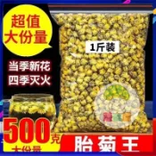 【歐萊雅形象店】 熱賣款 菊花茶胎菊王500g胎菊袋裝胎菊王可搭配枸杞組合花茶胎 菊香四溢