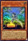 [高雄轉交廚] 韓紙 QCCU-JP162 芳香熾天使 歐白芷 (亮面)