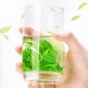 【品質驗證】小葉苦丁茶  四川峨眉山正品明前特優級小葉苦丁茶嫰芽苦丁茶