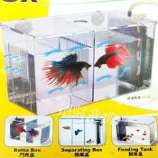 放魚缸內鬥魚缸花羅漢雅柏UP動力式鬥魚盒缸內型(D-632-IN)接打氣機過濾培養硝化菌隔離盒繁殖幼魚水族箱孔雀蝦