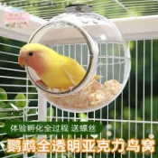 全景可視透明鳥窩 新型鸚鵡睡窩 四季通用吊床 玄鳳牡丹虎皮珍珠鳥巢