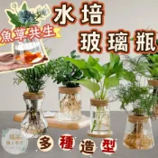 (店+)【璟采職人】水培玻璃瓶 水培花盆 水培盆栽 生態瓶 盆栽容器 水耕花盆 盆器 水耕瓶 水培瓶 水養植物瓶 水養植物