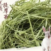 【小寵牧草嚴選館】萌寵牧草 過篩 提摩西二割 百幕達 苜蓿 提摩西一割 甜小麥草 燕麥草 方便投餵兔子龍貓豚鼠荷蘭豬飼料