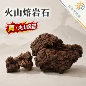 真.火山熔岩石🔥大尺寸5-20cm🔥產地印尼 火山石 紅火山石 黑火山石 火山岩 水族造景 魚缸造景 培菌過濾 造景石