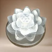 寧靜蓮花光明燈