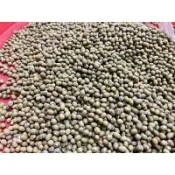 毛綠豆（粉綠豆）600克