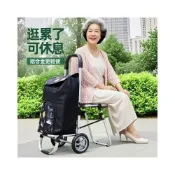 (店+)豆豆優選 買菜小拉車鋁合金購物車可坐人老年人輕便小車旅行摺疊便攜手推車