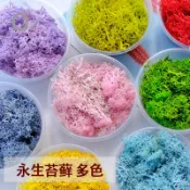 台灣現貨【永生苔蘚】永生苔癬蓬萊松多色可選 森系微景觀花環材料