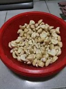 官田菱角，菱角仁，勿下單，產季已經結束