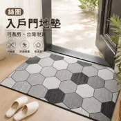 玄關地墊 絲圈門口地墊 刮泥地墊 大門地墊 除塵地墊 可裁剪 門口地墊 絲圈地墊 刮沙地墊 防滑地墊 墊子地墊 落塵地墊