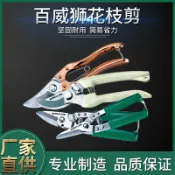 協貿國際日用品生活9館 百威獅花枝花枝直嘴剪彎嘴剪花枝剪稼枝剪堅固耐用小樹枝剪多功能