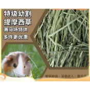 [新北出貨]新草 已過篩 一割  提摩西一割 提摩西幼割 百慕達 牧草 苜蓿草 細梗大片葉 現貨供應 天竺鼠 兔子