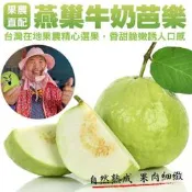 【PChome 24h購物】【小農直配】燕巢牛奶珍珠芭樂(10斤±10%) R99N