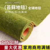 ✨限時下殺✨苔蘚地毯 防滑吸水地毯 可裁剪客製尺寸 家用地毯 辦公室地毯假草坪地毯地墊鋪墊陽台地毯 吸水耐髒加厚隔音地墊