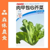 芥菜種子｜長年菜｜包心芥菜｜扁甲芥菜｜無絲甜大菜｜肉甲包心芥菜｜雪裡紅｜客家菜｜蔬菜專業戶｜蔬菜種子｜園藝 ｜