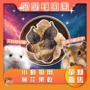 香香毛寶貝🎈 小動物用無花果乾 單個 小寵零食 小寵用無花果乾 倉鼠點心 鼠兔零食 鼠兔水果乾 倉鼠零食 小動物果乾