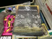 全新未拆封 正版 DVD 國家地理頻道 紀錄片 NATIONAL GEOGRAPHIC 大遷徙 DVD Q129 
