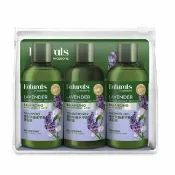 屈臣氏Watsons Naturals 薰衣草油水平衡旅行組(洗髮100ml+護髮100ml+沐浴100ml)