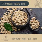 (店+)【LEOBUNA 里昂布納】丨衣索比亞生豆系列丨G1耶加雪菲 果波塔 日曬丨咖啡豆 生豆