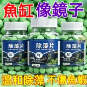 【台灣隔日達】💗除藻片 除藻不傷魚蝦 去苔片 清除青苔黑毛水藻清除藻片水質淨化劑 硝化細菌 除藻錠 水族除藻 水族用品