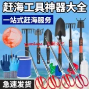 趕海工具專業套裝挖蛤蜊耙子螃蟹夾沙灘挖土貝殼新款園藝兩用裝備