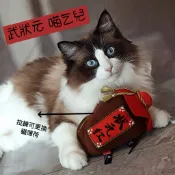 *吉花花* Q-monster 貓酒抱枕 狀元紅 女兒紅 逗貓玩具 貓咪玩具 貓薄荷 貓薄荷玩具 逗貓玩具  薄荷玩
