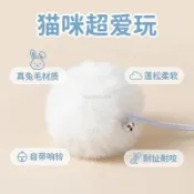 【免運下殺】寵物吊床懸掛玩具 貓吊床懸掛玩具  寵物玩具 逗貓玩具球貓爬架毛絨球貓玩具懸掛式貓咪用品貓籠裝飾貓咪懸掛球