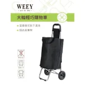 大型時尚輕巧購物車買菜車 二輪菜車 發票現貨快速出貨 拉桿購物車手推車 買菜車 可拆洗菜籃車