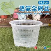 【花園城堡】16.5cm透氣全網盆 氣根植物栽培 蘭花 蕨類 水耕盆 高度透水 透氣 透氣盆 控根盆 塑膠花盆 透