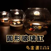 (店+)實木燈 微景觀 玻璃瓶 盆栽 生態瓶  瓶子 景觀瓶 造景缸 微景觀瓶子 上開口 花瓶 魚缸 多肉盆栽